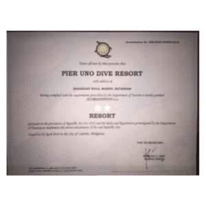 DOT AWARD 1