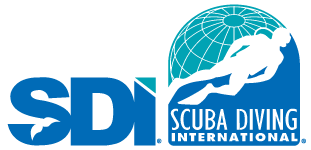 PIER UNO SDI Logo